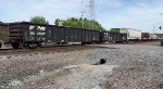 NS 210397 is new to rrpa.